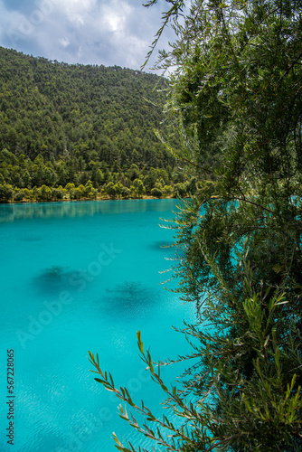 Deep turquoise color of the stunning lake at the Blue Moon Valley behind the tree  Yunnan  China