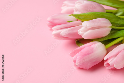 Bouquet of beautiful tulip flowers on pink background, closeup