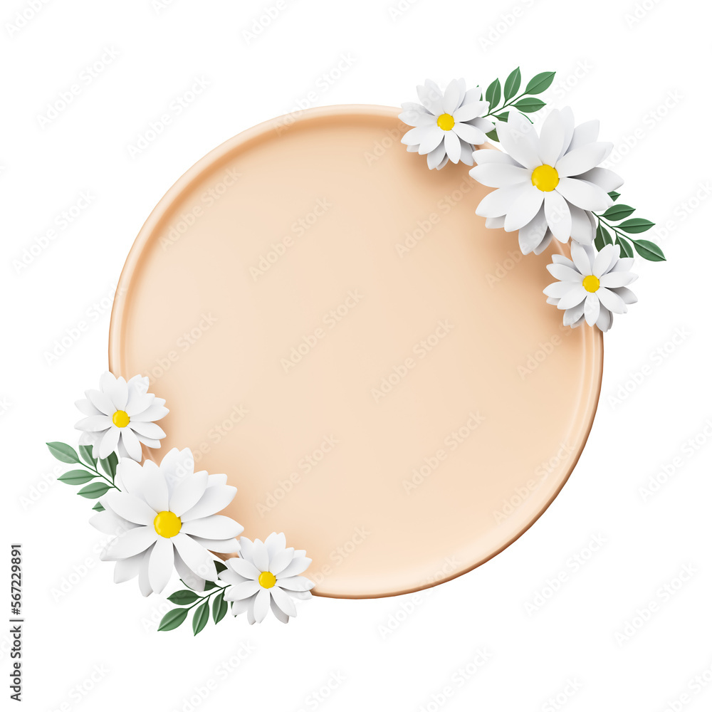 Obraz premium Chamomile spring summer frame cutout