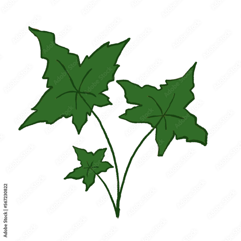 Green Leaf Illustration Green Leaf Illustration