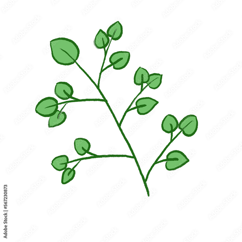 Green Leaf Illustration