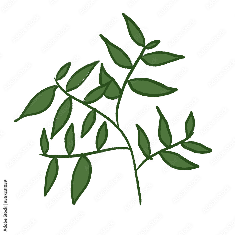 Green Leaf Illustration Green Leaf Illustration