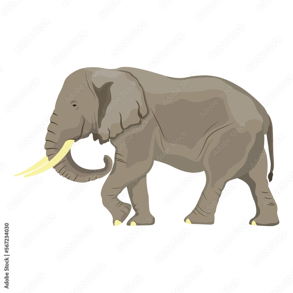 Wild African elephant realistic cartoon vector issolated on white background. Giant mammal cute with trunk illustration. Wild African elephant realistic cartoon vector issolated on white background. Giant mammal cute with trunk illustration.