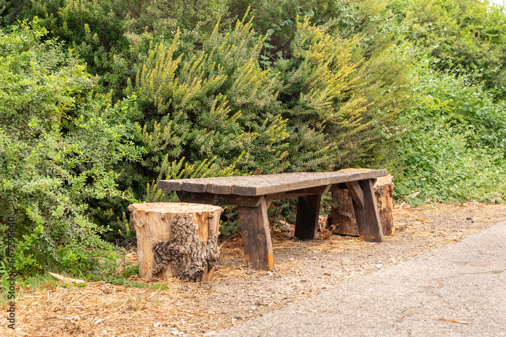 The wooden bench in the Japanese Garden in kibutz Heftziba, in the Jordanian valley,the north of Israel The wooden bench in the Japanese Garden in kibutz Heftziba, in the Jordanian valley,the north of Israel