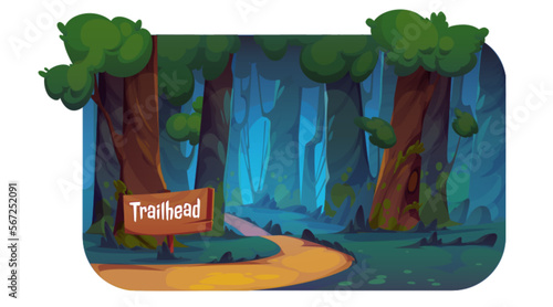 Cartoon forest trail landscape with wooden trailhead sign. Vector illustration of hiking route in natural reserve, many old trees, green grass and bushes. Scene for trekking and camping adventure