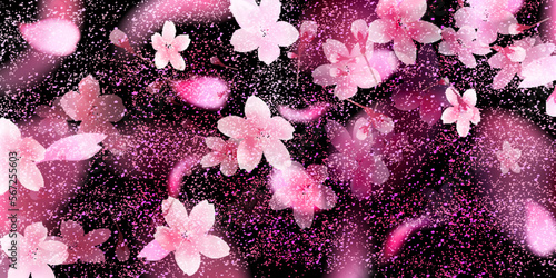 夜桜　花びら　風景　背景
