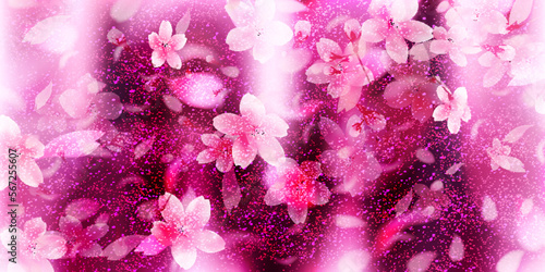 夜桜　花びら　風景　背景