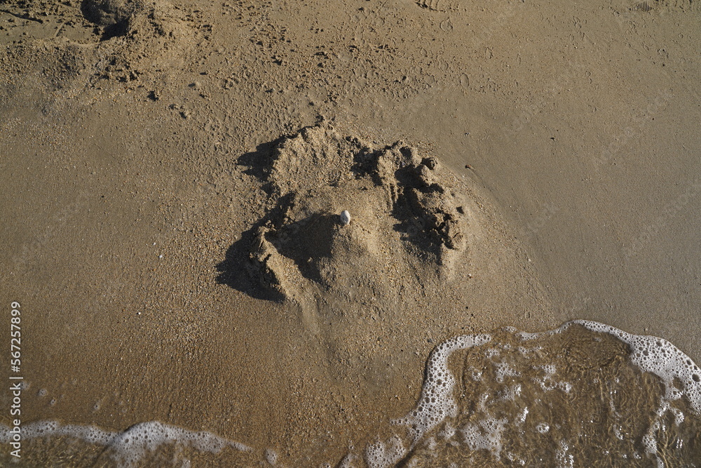 The Waves Destroy The Castle In The Sand Shattered Children s Hopes The waves destroy the castle in the sand shattered children s hopes