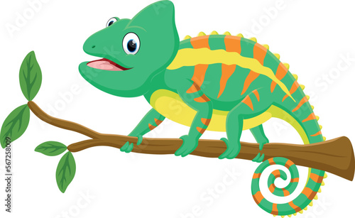 Cute chameleon cartoon on tree branch