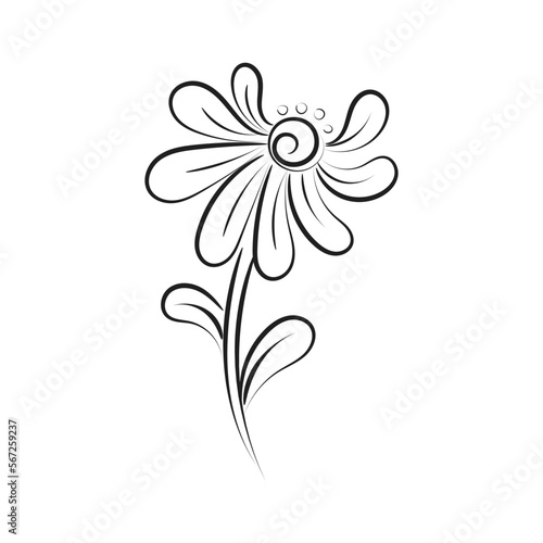 Black silhouettes  flowers and herbs isolated on white background. Hand drawn sketch flower