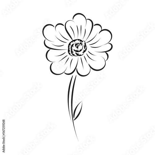 Black silhouettes  flowers and herbs isolated on white background. Hand drawn sketch flower
