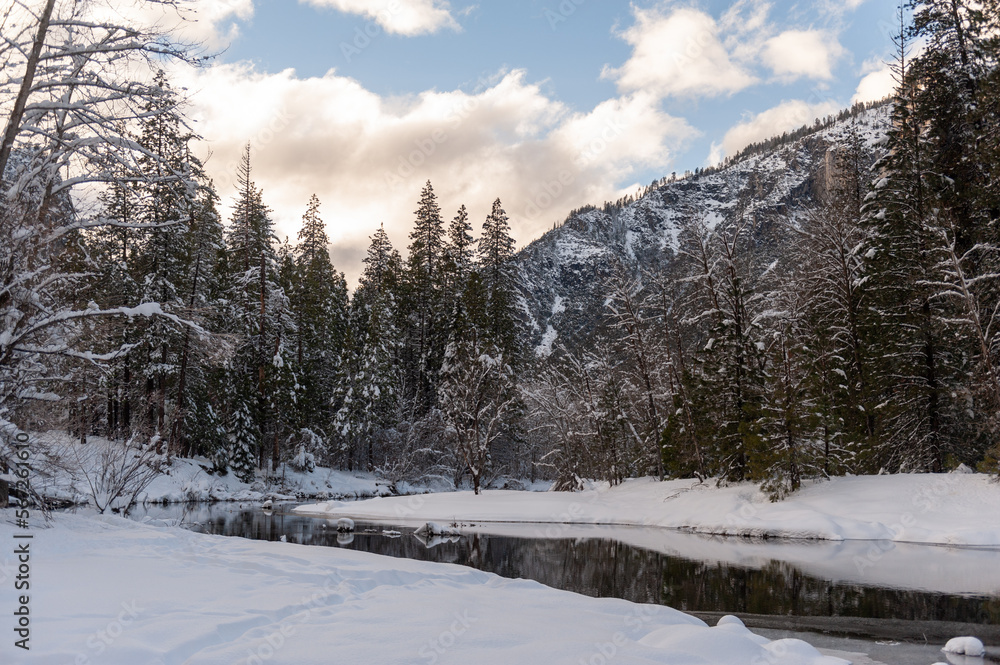 Snow-covered trees line the merced river in Yosemite valley on a late winter afternoon.