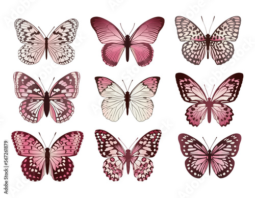 Collection of pink butterflies on a white background. Vector illustration. © Avilika