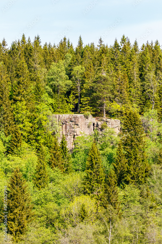 Rock Wall in a forest landscape Rock Wall in a forest landscape