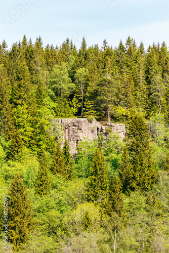 Bild auf Leinwand Rock Wall in a forest landscape