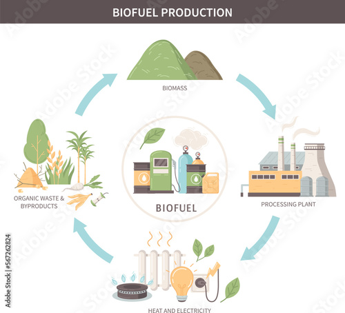 Biofuel Production Infographics Scheme