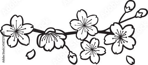  桜の切絵の様な黒い線のイラスト