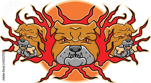 Angry bulldog head illustration. print for streetwear, print for t-shirts and hoodies, isolated on black background