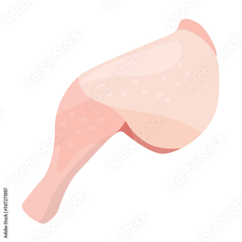Vector illustration of chicken thigh.