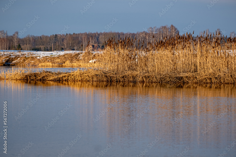 landscape on river bank on sunny winter evening. River Lielupe, Latvia landscape on river bank on sunny winter evening. River Lielupe, Latvia