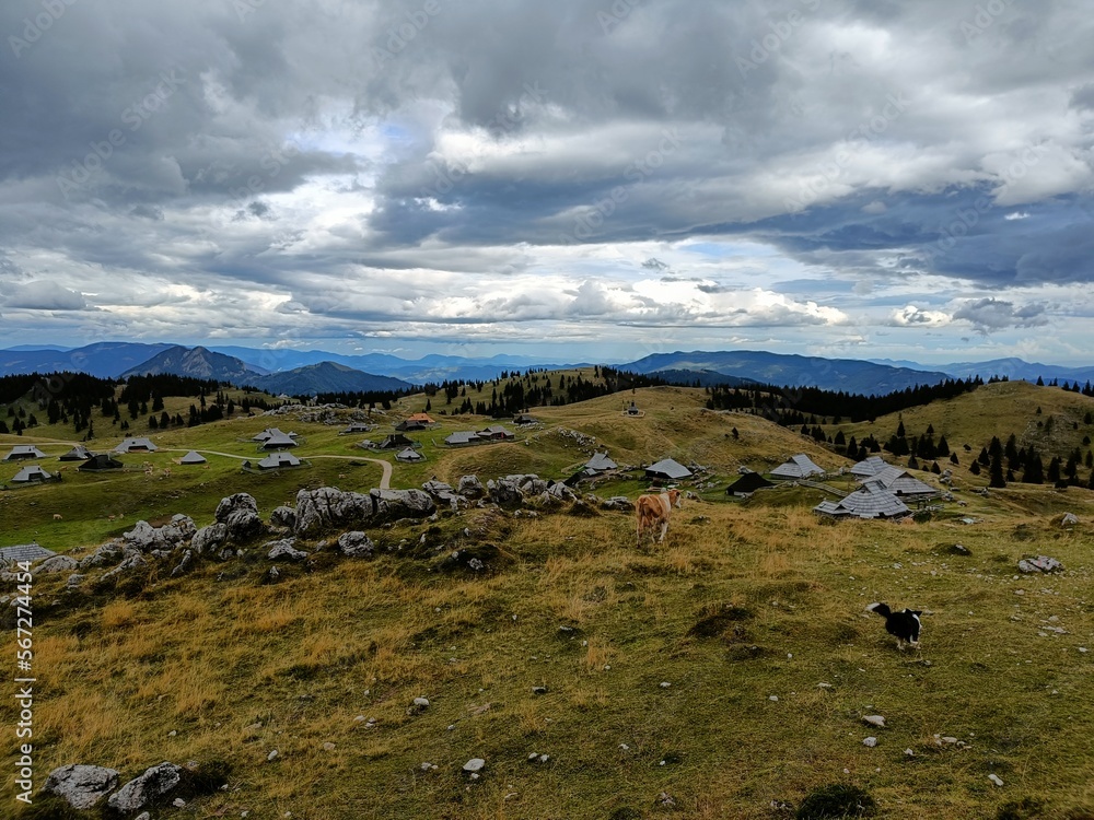 Trip to Big Pasture Plateau in Slovenia, nice view, hills, cows, dog, green meadows