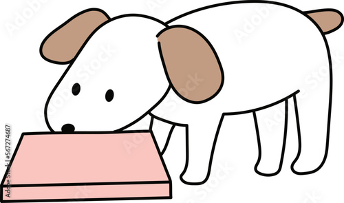 ドッグフードを食べる犬