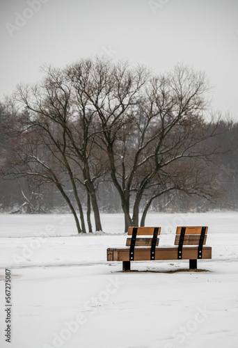 winter landscape in the park