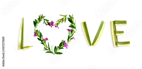 Word LOVE made of flower and leaves isolated on transparent background PNG file