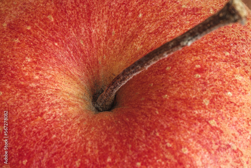 close up of red apple