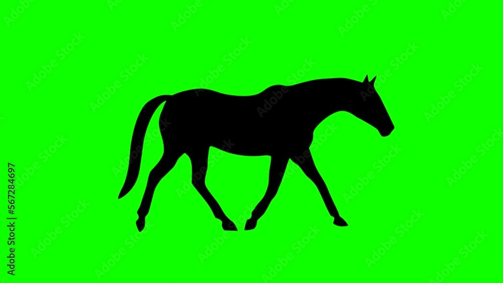 Silhouette of the trotting horse, animation on the green background (seamless loop) Silhouette of the trotting horse, animation on the green background (seamless loop)