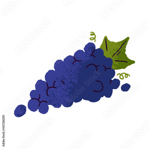 Grapes bunch, cluster with green leaf. Sweet fresh ripe purple berries, fruits on branch. Healthy vitamin food. Flat vector illustration isolated on white background