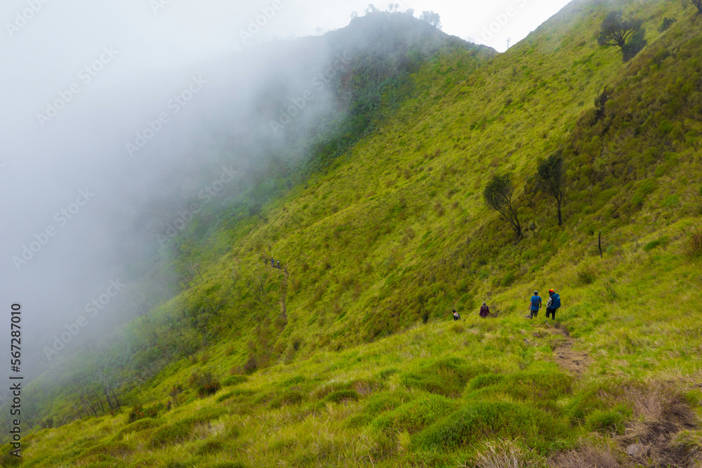 Savanna on Mount Merbabu and some hikers on descend foothpath