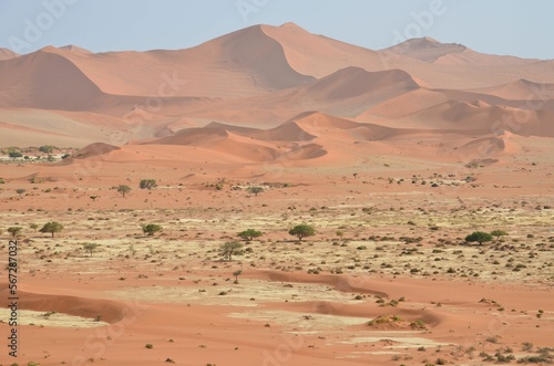 Dunes at Sossusvlei NP, Namib desert, Namibia