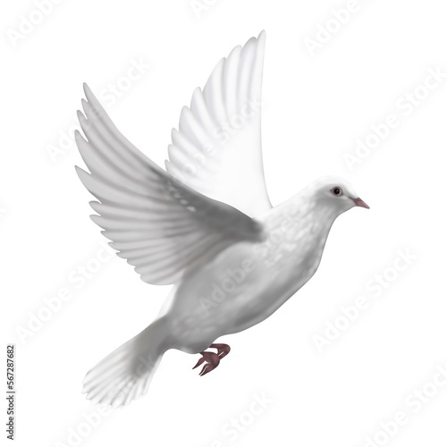 Postal white dove flying on a white background, digital hand drawing.