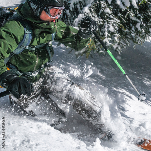 Freeskier im Telemark-Stil powdered gekonnt im Backcountry im lichten Wald  photo