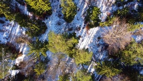 Aerial view of a snowy forest landscape with evergreen trees and bare deciduous trees in winter