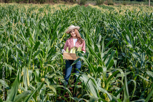 Happy asian woman farmer wearing a red shirt hat and white gloves.she carrying corn basket agricultural in smart farm corn fielded before are exported to market is agricultural business concept.