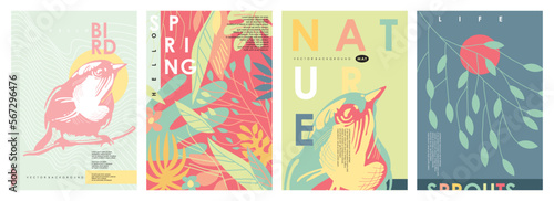 Spring bird nature background patterns and posters with plants, trees and flowers. Summer floral vector template set.