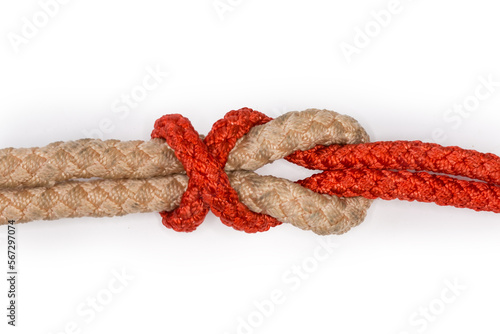 Slika na platnu Rope simple Simon under bend on white background close-up