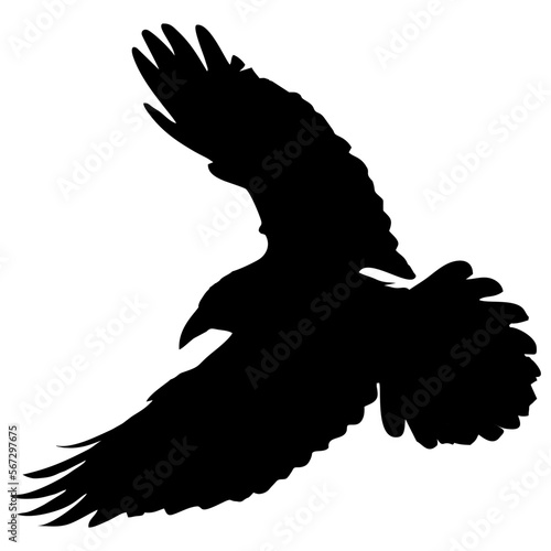 silhouette crow