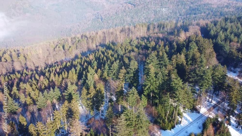 Majestic aerial view of a vast forest with patches of snow, showcasing the beauty of untouched nature