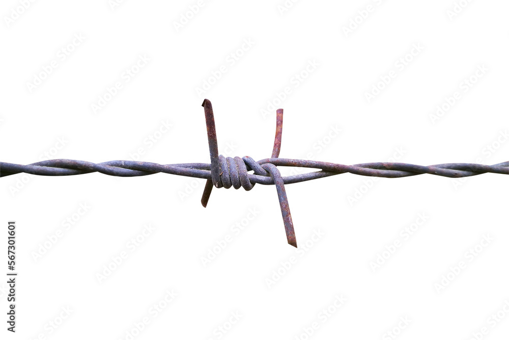 barbed wire fence isolated on white background.