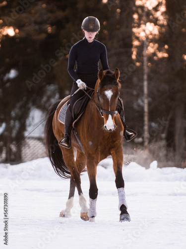 Horse portrait © Rikke S