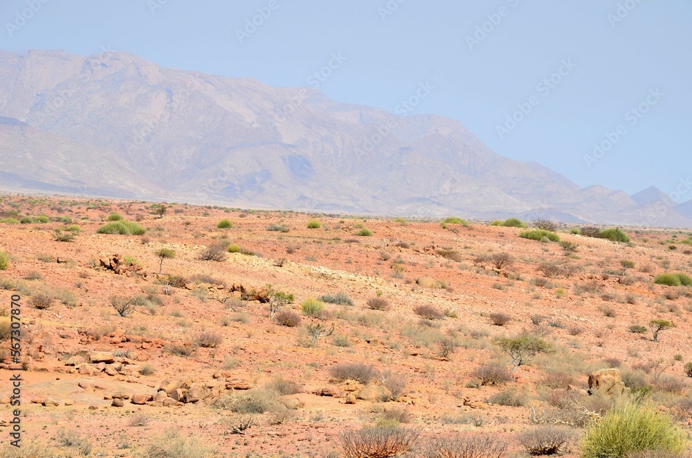 Landscape near Brandberg mountain, Namib desert