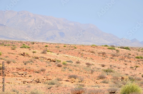 Landscape near Brandberg mountain, Namib desert