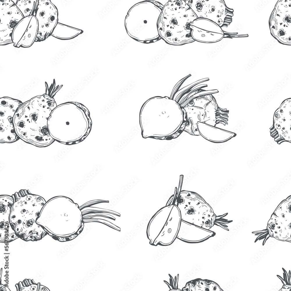 Vector pattern with sketch celeriac Vector pattern with sketch celeriac