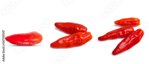Chili pepper isolated on a white background.
