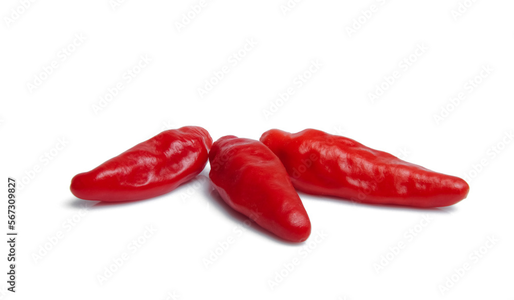 Chili pepper isolated on a white background. Chili pepper isolated on a white background.