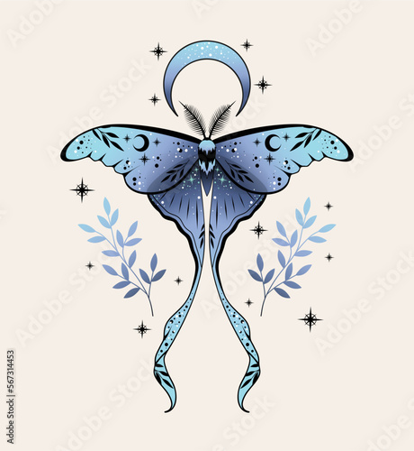 Vector illustration of moon moth. For print for T-shirts and bags, decor element. Mystical and magical, astrology illustration
