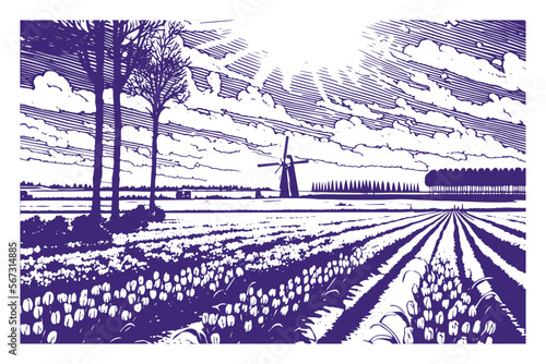 Tulip Valley with Dutch landscape, monochrome retro style. Vector illustration with tulip fields and a landscape with a windmill on the background.